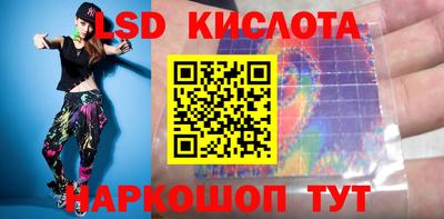 apvp Кингисепп