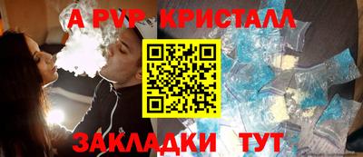 apvp Кингисепп