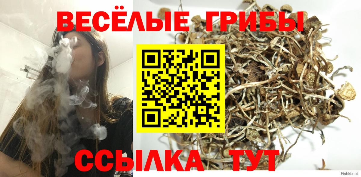 Кумертау  Галлюциногенные грибы прущие грибы  Вход с VPN 